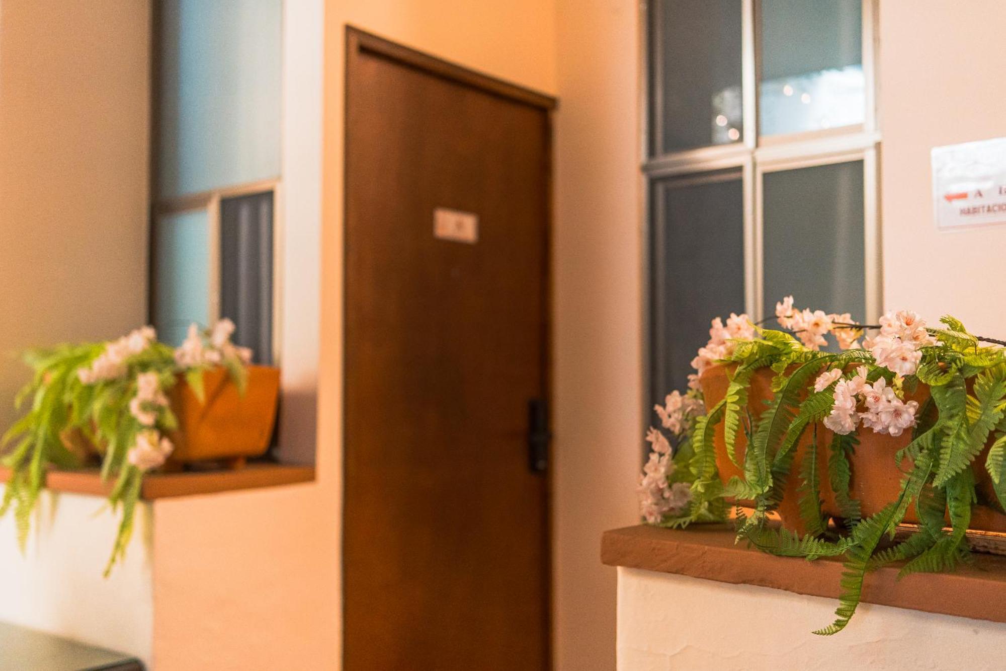 Hotel Don Nino Oaxaca المظهر الخارجي الصورة
