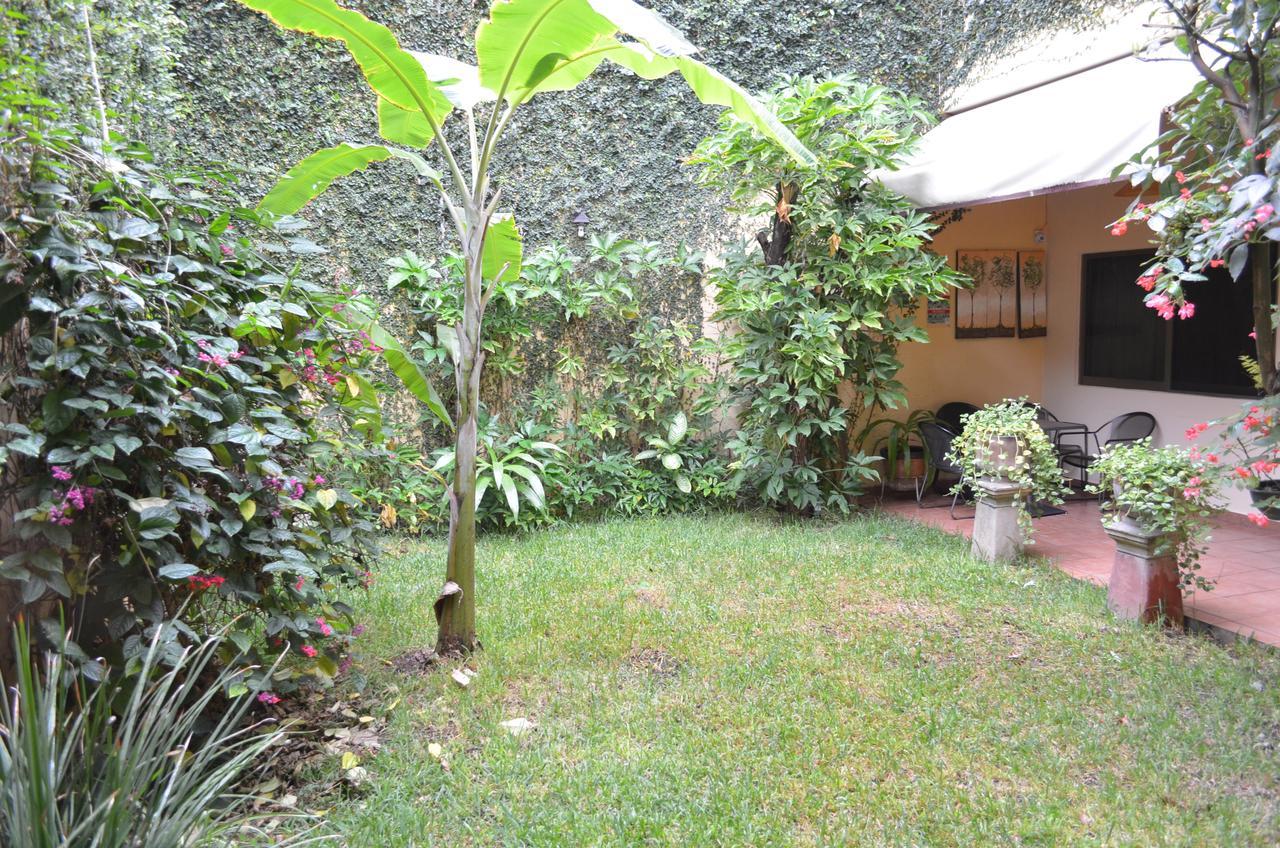 Hotel Don Nino Oaxaca المظهر الخارجي الصورة